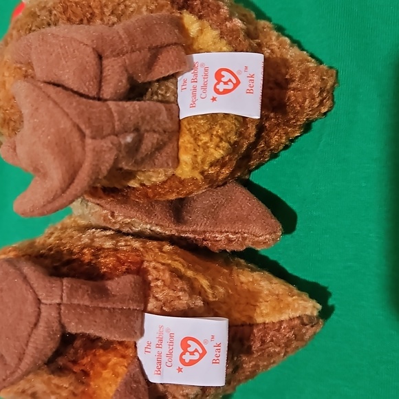Beak - Set of Two - Ty Beanie Babies - Picture 8 of 9